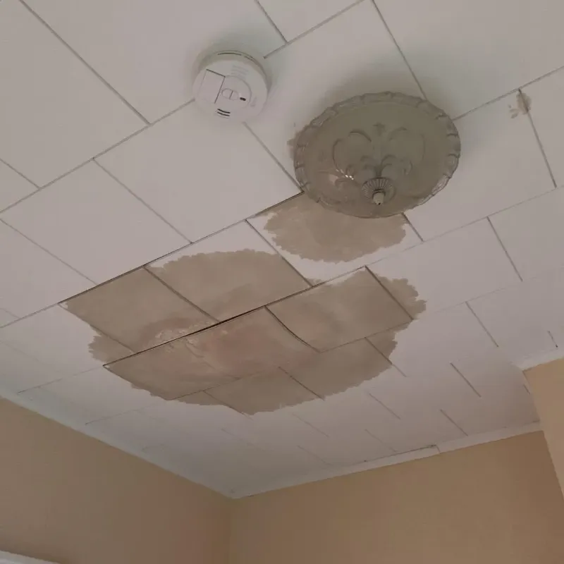 Ceiling Water Damage Repair in Chester, PA