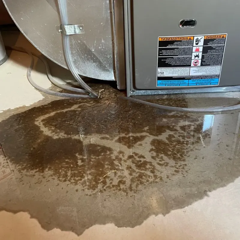 Pipe Burst and Leak Restoration in Chester, PA