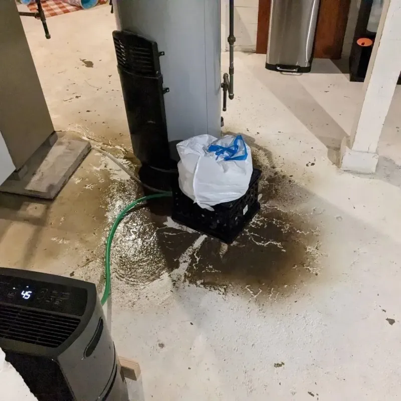 Sewage Backup Cleanup Service in Chester, PA
